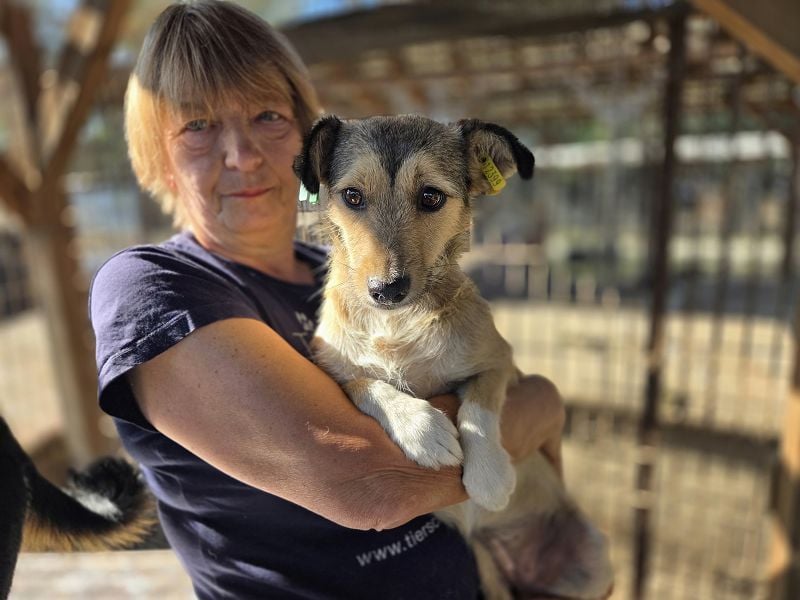 ♥PEPPI♥ neu auf Pflegestelle in Köln - süße, zarte, noch unsichere kleine Maus 37 cm