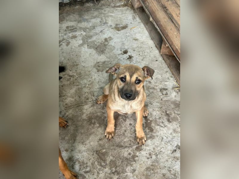 Mona❤️  kleines Sonnenschein-Mädchen sucht großes Glück