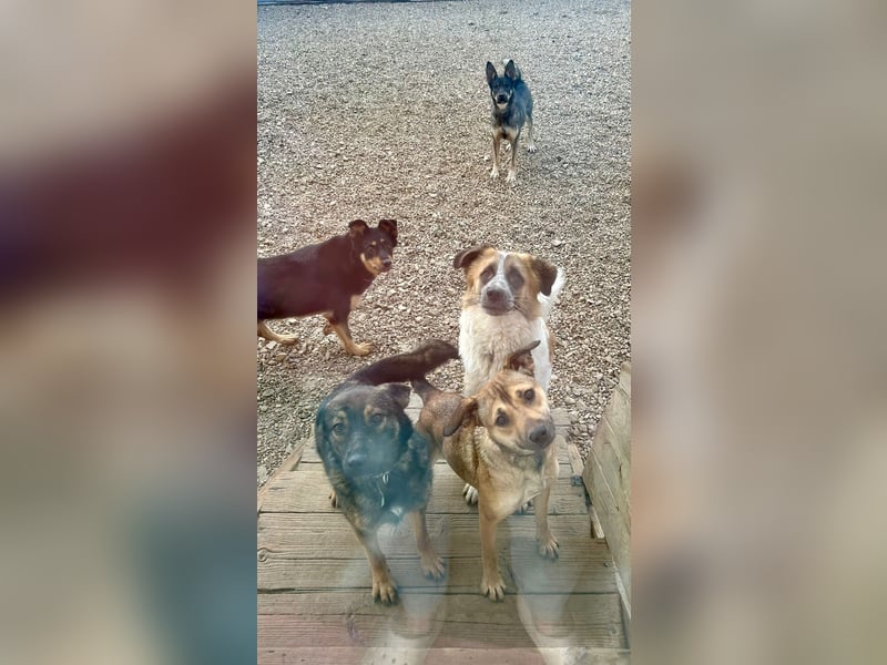 Mona❤️  kleines Sonnenschein-Mädchen sucht großes Glück