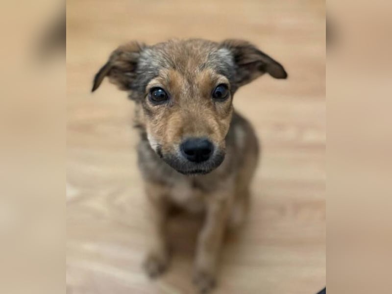 Mona❤️  kleines Sonnenschein-Mädchen sucht großes Glück