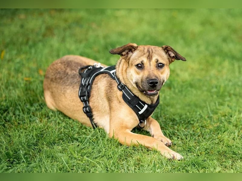 Mona❤️  kleines Sonnenschein-Mädchen sucht großes Glück