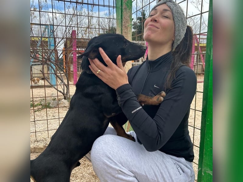 Sully sucht sein Forever Home ❤️