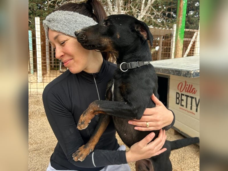 Sully sucht sein Forever Home ❤️