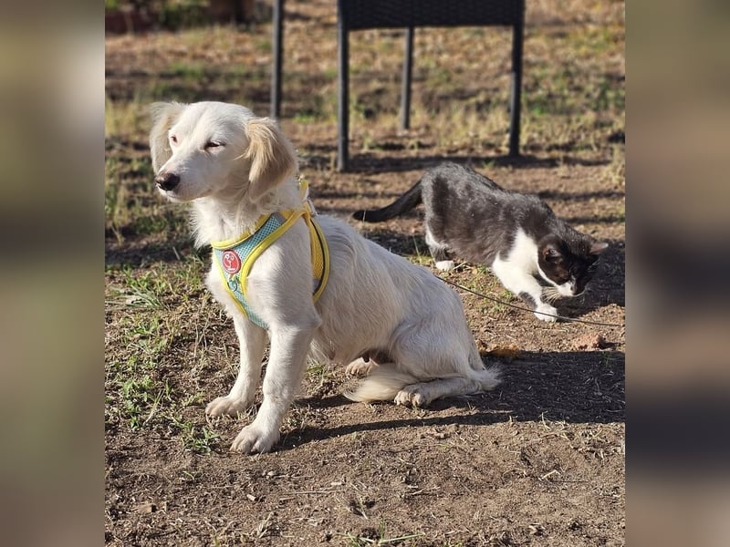 Neve begegnet jedem freundlich