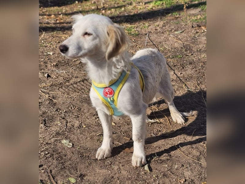 Neve begegnet jedem freundlich