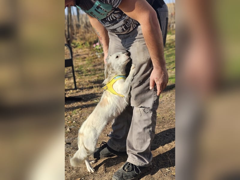 Neve begegnet jedem freundlich