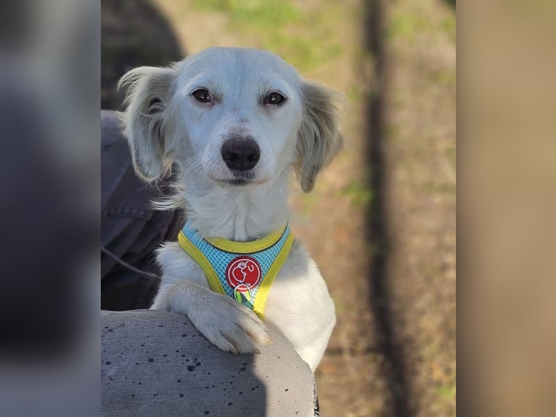 Neve begegnet jedem freundlich