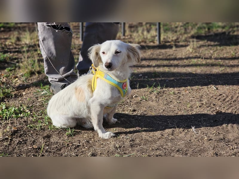 Neve begegnet jedem freundlich