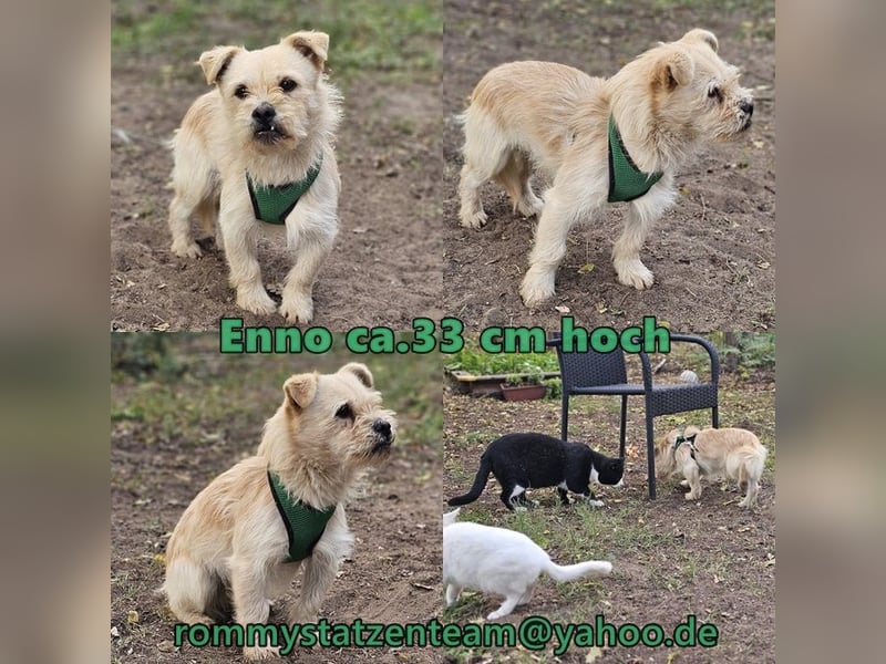 Enno sucht die Nähe zum Menschen