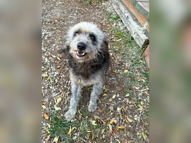 Ana sucht Ihre Familie!