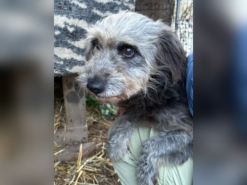 Ana sucht Ihre Familie!