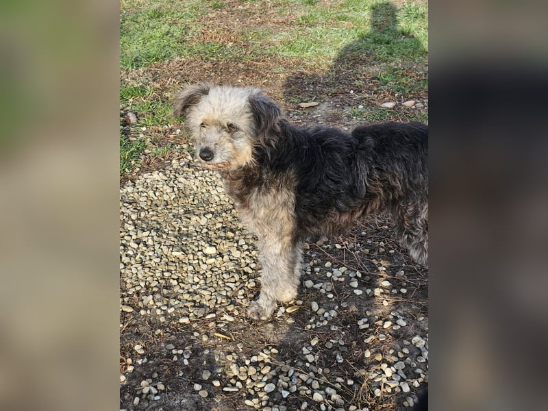 Ana sucht Ihre Familie!