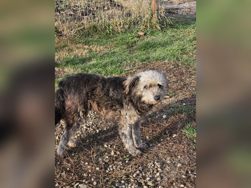 Ana sucht Ihre Familie!