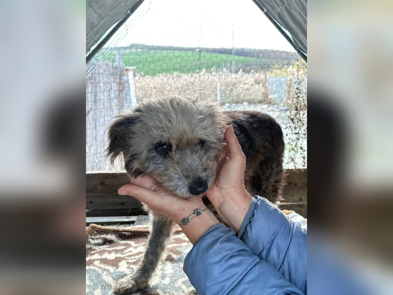 Ana sucht Ihre Familie!