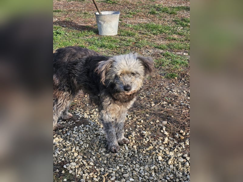 Ana sucht Ihre Familie!