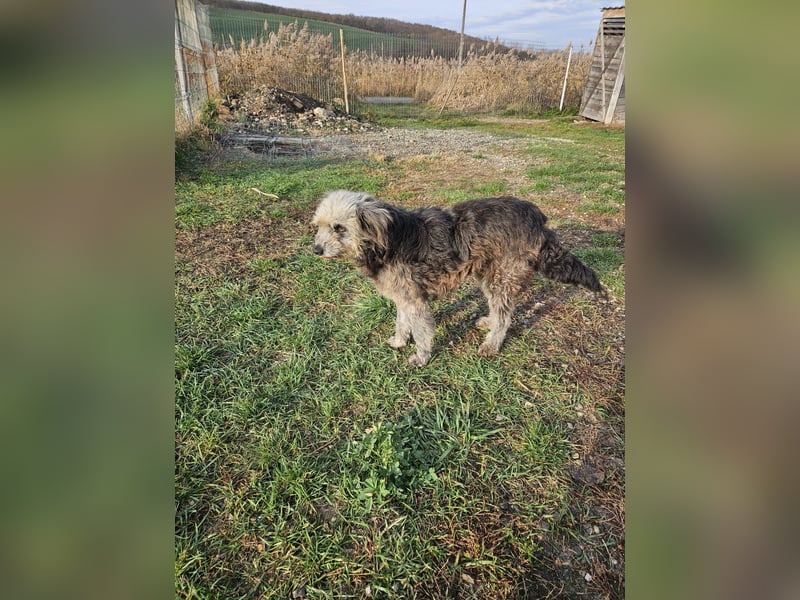 Ana sucht Ihre Familie!