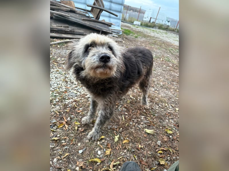 Ana sucht Ihre Familie!