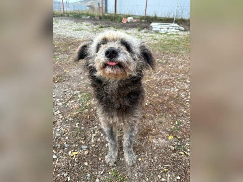 Ana sucht Ihre Familie!