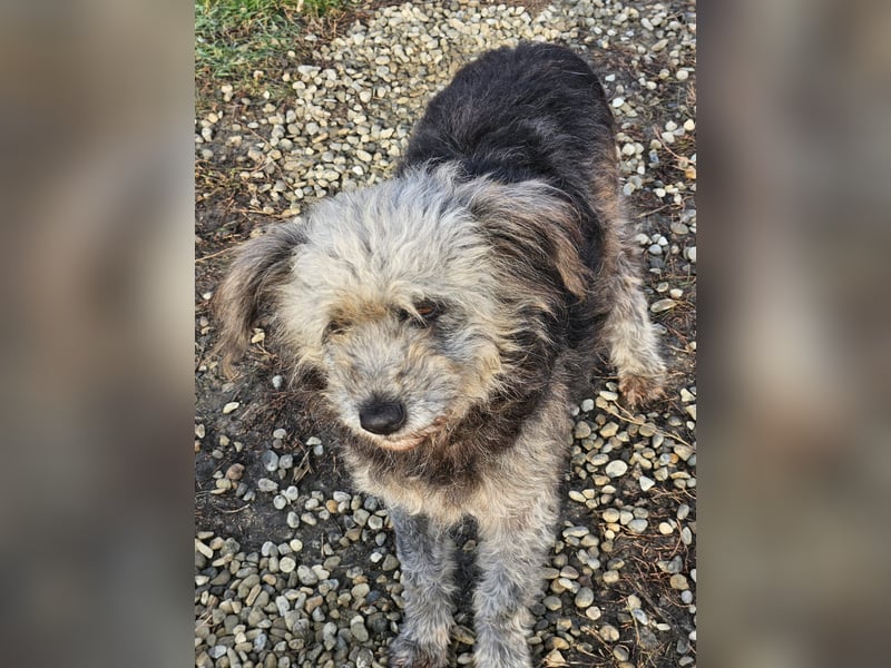 Ana sucht Ihre Familie!