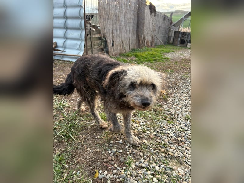 Ana sucht Ihre Familie!