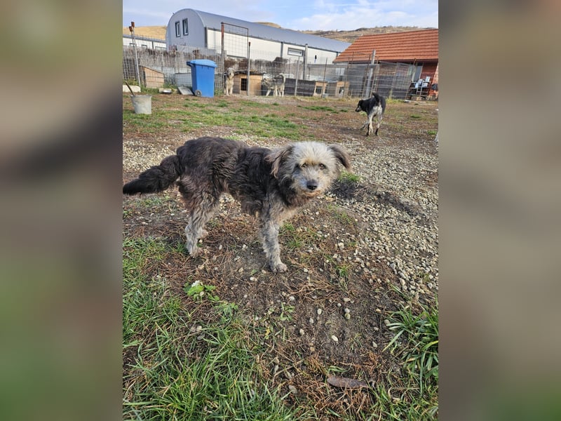 Ana sucht Ihre Familie!