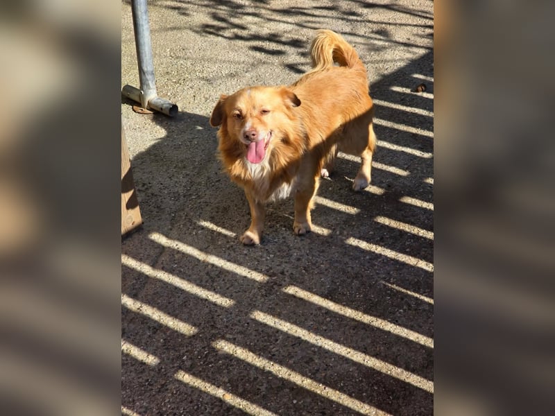 BON JOVI- kleiner Herzensbube sucht sein Glück BON JOVI- kleiner Herzensbube sucht sein Glück