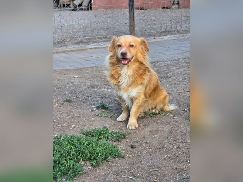 BON JOVI- kleiner Herzensbube sucht sein Glück BON JOVI- kleiner Herzensbube sucht sein Glück