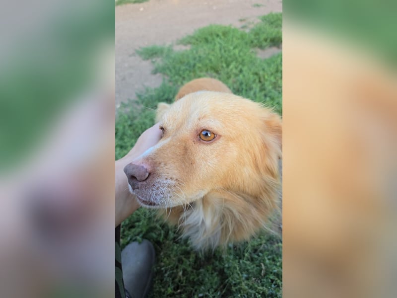 BON JOVI- kleiner Herzensbube sucht sein Glück BON JOVI- kleiner Herzensbube sucht sein Glück