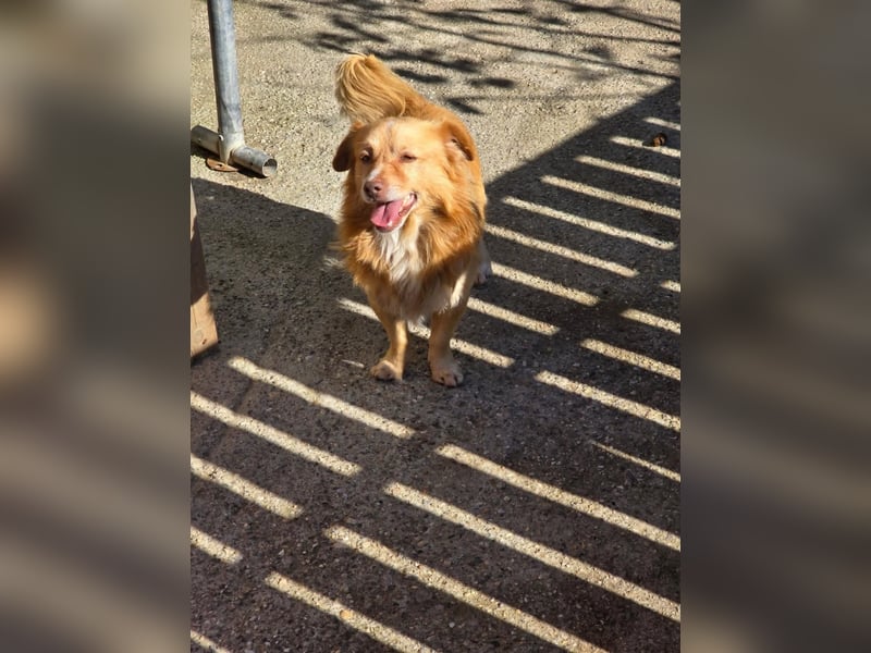 BON JOVI- kleiner Herzensbube sucht sein Glück BON JOVI- kleiner Herzensbube sucht sein Glück