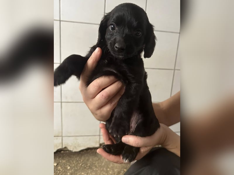 zuckersüße ABBY sucht ihrTraumkörbchen zuckersüße ABBY sucht ihrTraumkörbchen