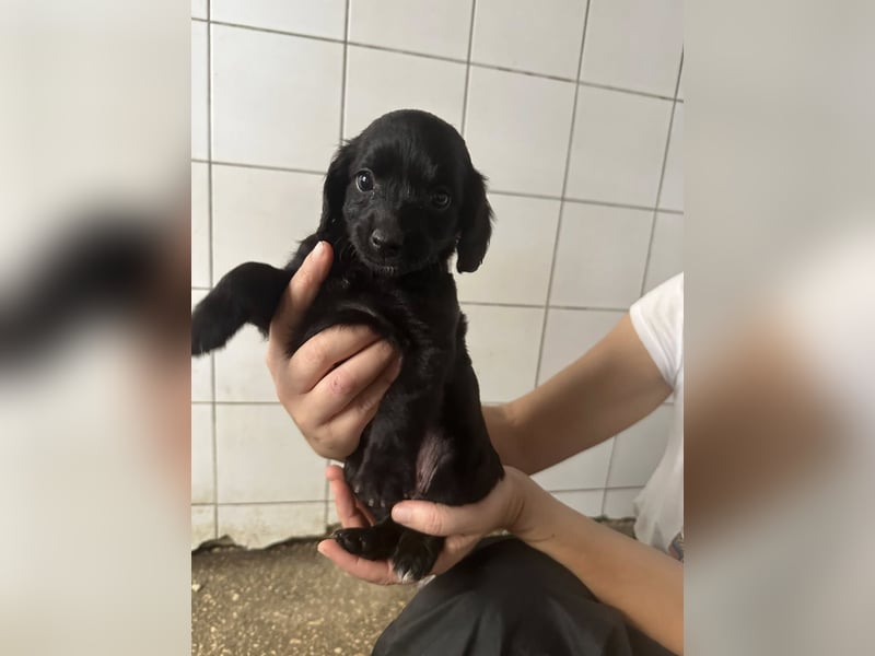 zuckersüße ABBY sucht ihrTraumkörbchen zuckersüße ABBY sucht ihrTraumkörbchen