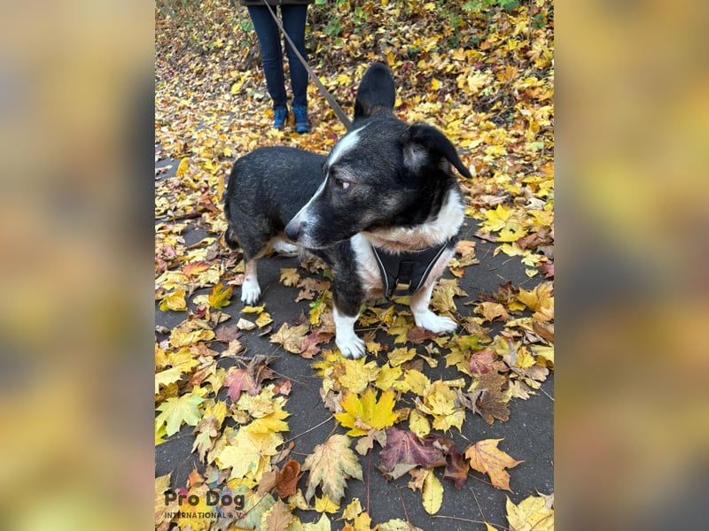 Leonie in Hückeswagen