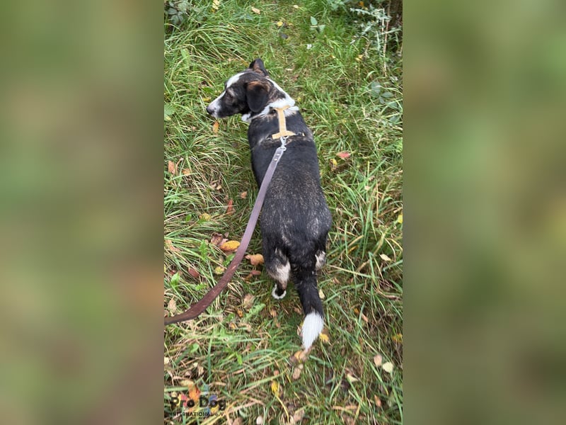 Leonie in Hückeswagen
