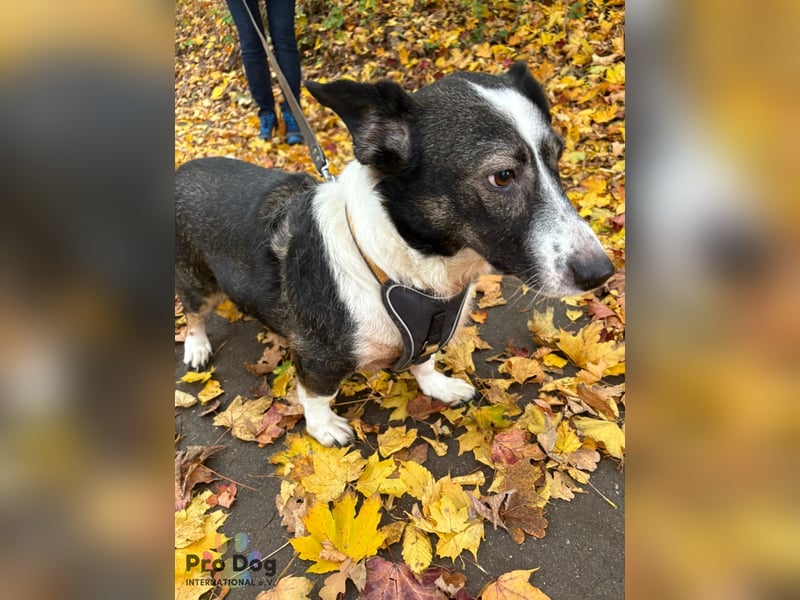 Leonie in Hückeswagen