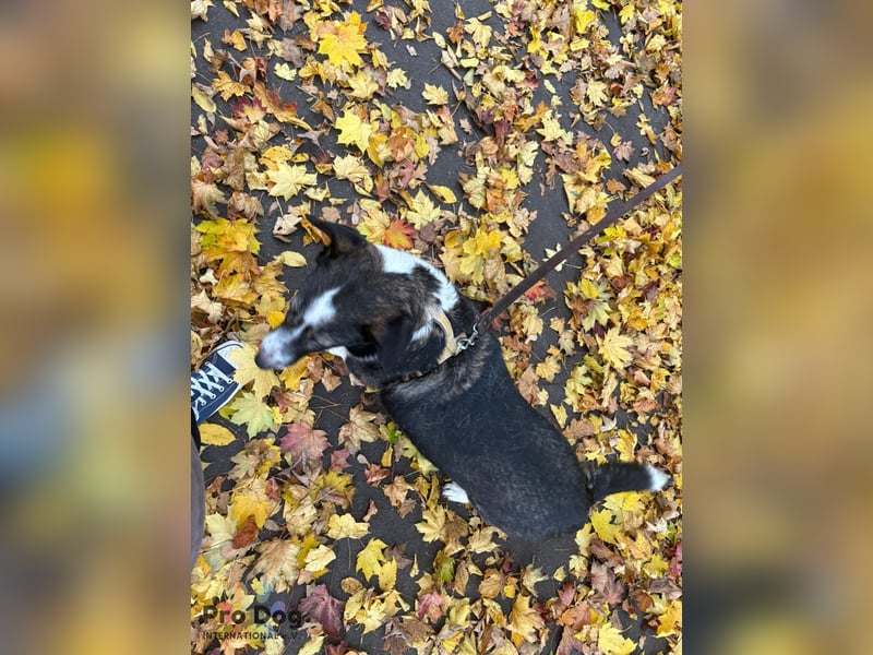 Leonie in Hückeswagen
