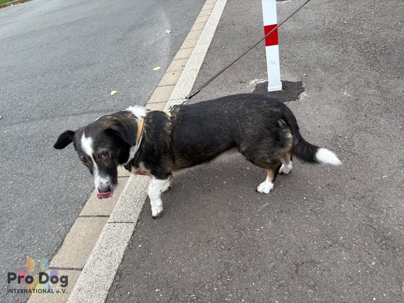 Leonie in Hückeswagen