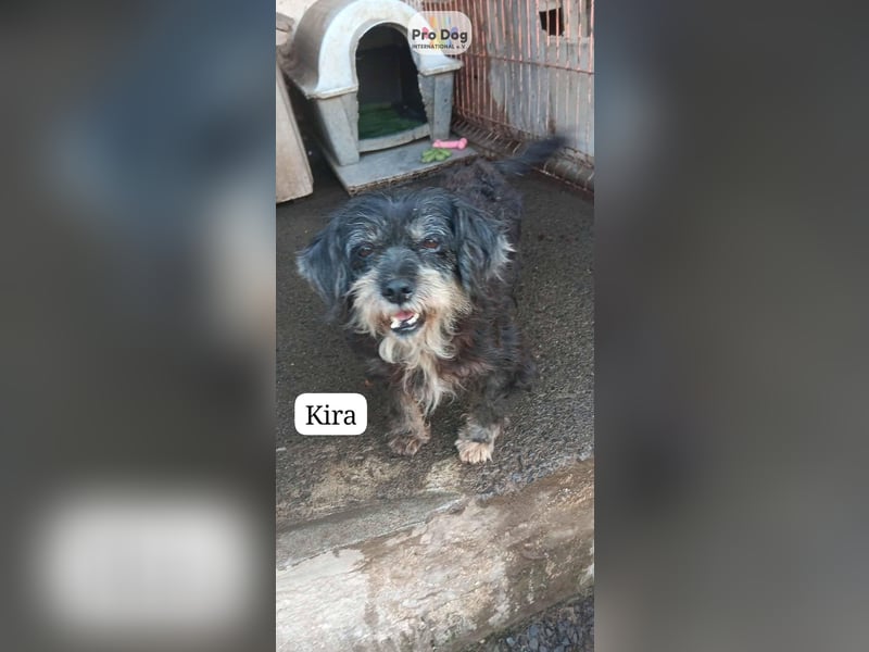Kira