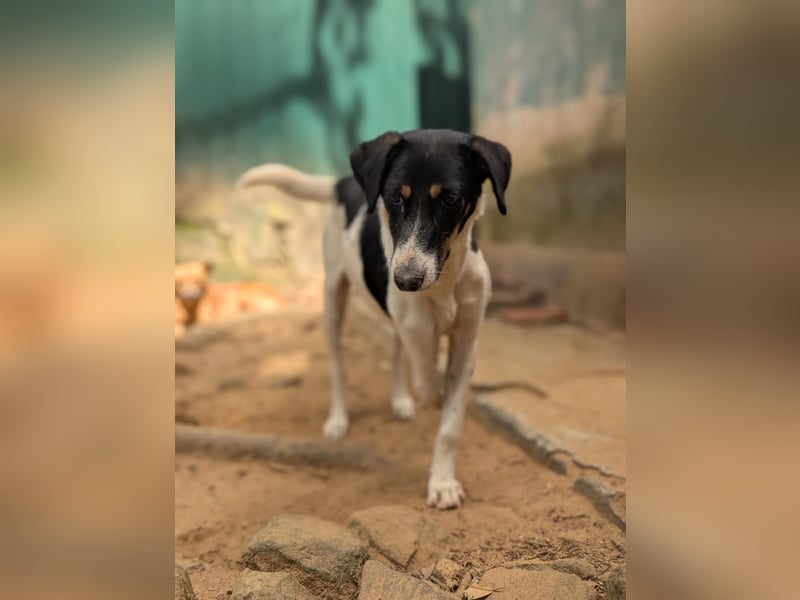 Maya - die furchtlose kleine Kämpferin! 