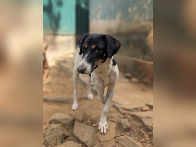 Maya - die furchtlose kleine Kämpferin! 