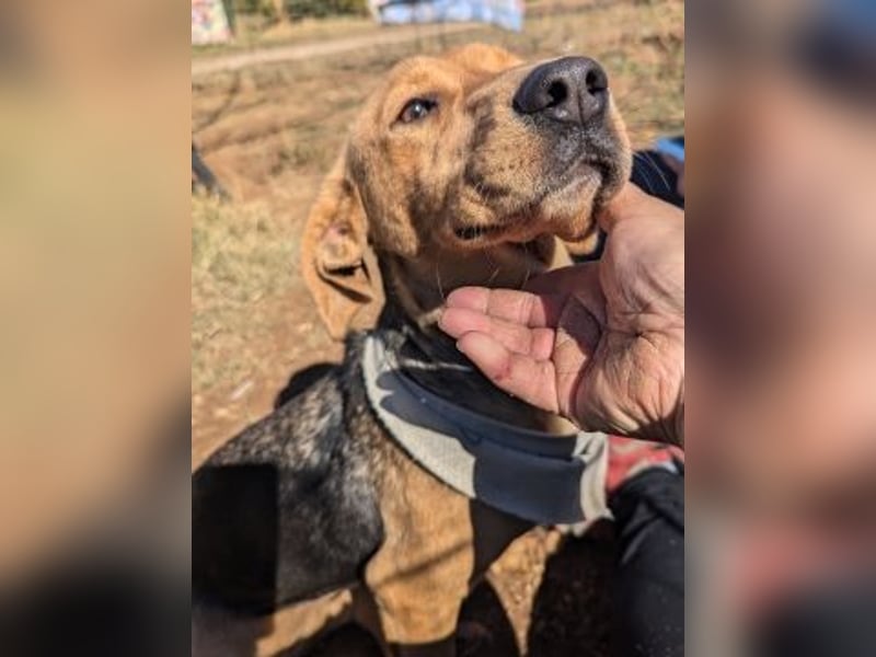 Mokka-liebe kleine Menschenfreundin