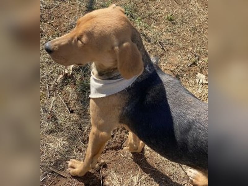 Mokka-liebe kleine Menschenfreundin