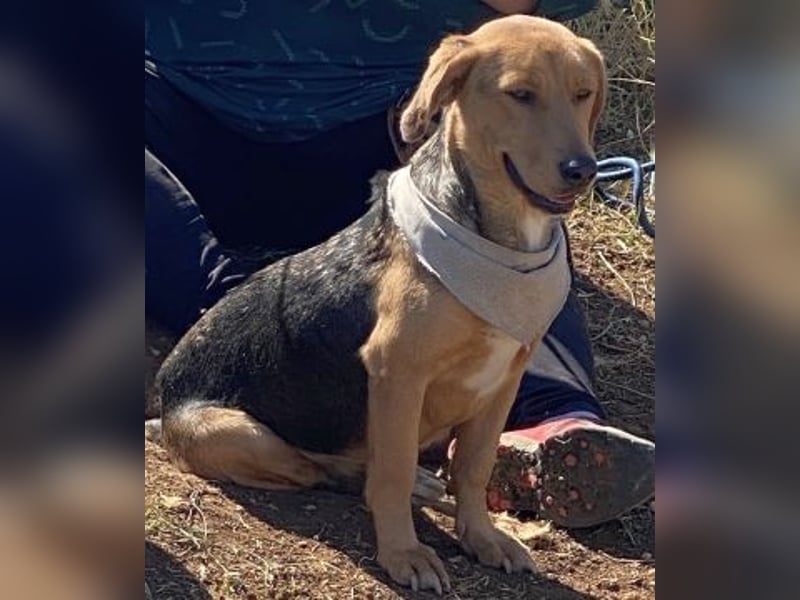 Mokka-liebe kleine Menschenfreundin