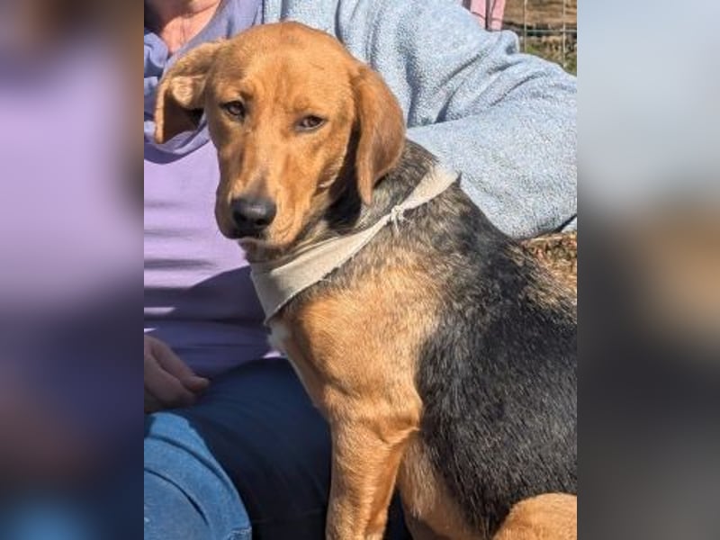 Mokka-liebe kleine Menschenfreundin