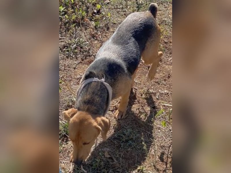 Mokka-liebe kleine Menschenfreundin