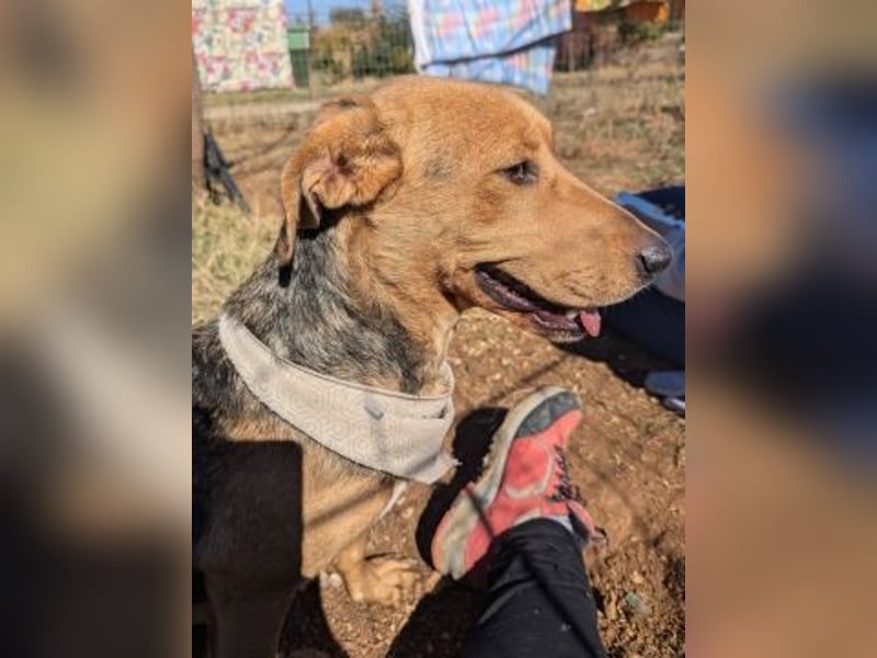 Mokka-liebe kleine Menschenfreundin