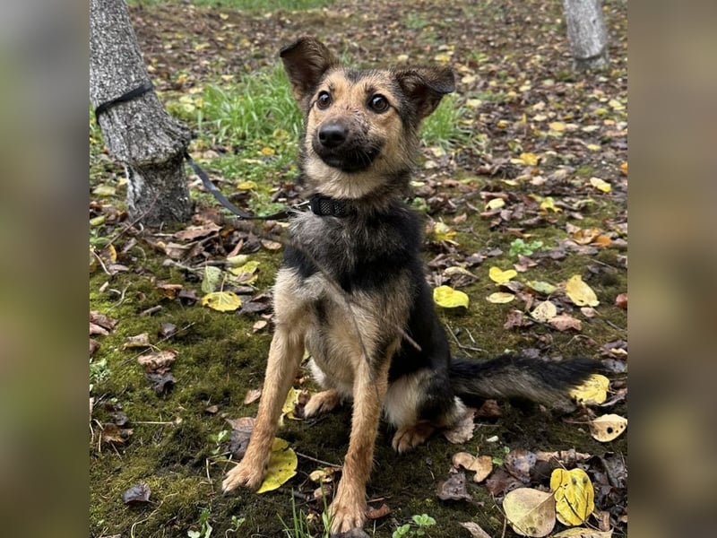 Meri ein absoluter Schatz