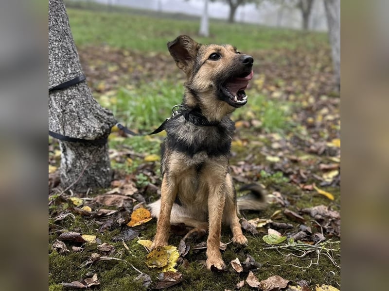 Meri ein absoluter Schatz