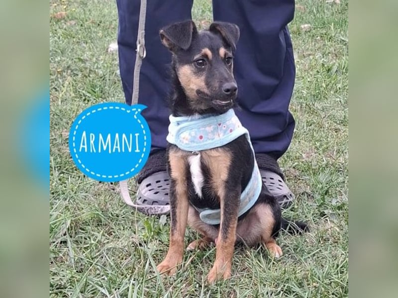 Armani ein kleiner Schatz