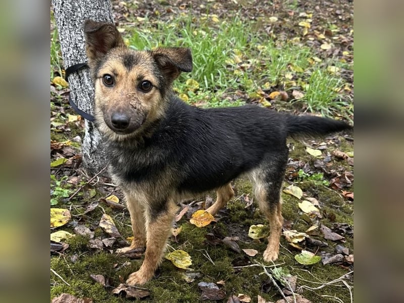 Meri ein absoluter Schatz