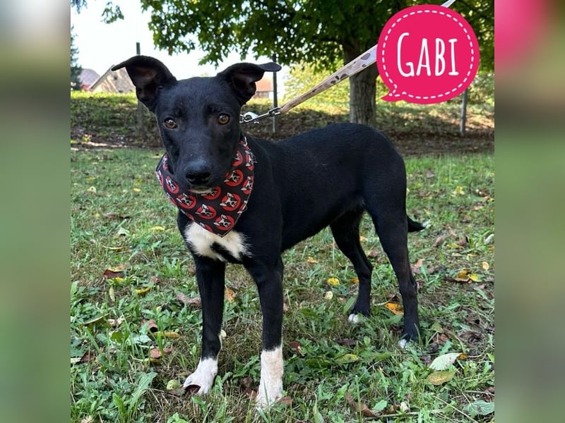 Gabi eine zarte Zaubermaus
